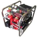 New 220V portable fire pump