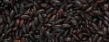 Natural Soft Dark-black Indian black rice
