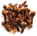 clove seeds