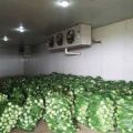 Electric Grey New Fully Automatic 440V vegetable cold storage room