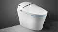 Parryware Electronic Toilet Seat