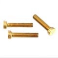Briota Products Golden brass slotted cheese head screw