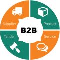 B2B Website Development Services