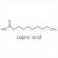 Capric Acid - C6