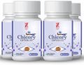 liver protective chicory capsules