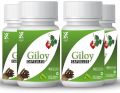 Giloy Capsules Immunity Booster, Appetite stimulant, Rejuvenation