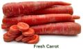 Fresh Carrot