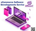 Ecommerce Software Developments Service