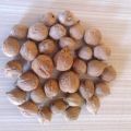 Terminalia Bellirica Nuts