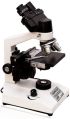 COMETEK Brass WHITE New Manual 400-800gm binocular laboratory microscope