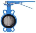 Cast Iron Blue 3 inch butterfly valve