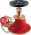 Cast Iron Polished Red Hydrant Valve
