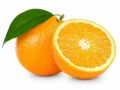 Imported Fresh Orange