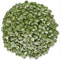 Raw green robusta coffee beans
