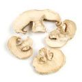 dried White Mushroom