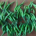 Fresh Long Green Chilli