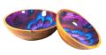 Multicolour Decorative Bowl Set of 2 Pcs