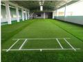 Artificial Cricket Pitch