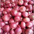 Fresh Nasik Onion