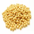 Pure Soybean Seeds