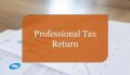 Profession Tax Return Filing Service