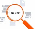 Taxation Audit Service