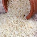 Common Hard Natural White Solid gujarat rice