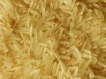 PR 11 Golden Basmati Rice