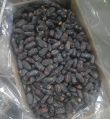 Black dried dates