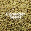 organic coriander seeds