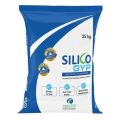 Silico Gyp High Quality Gypsum Plaster