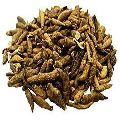 Dried Atish Kadwi Herb