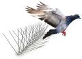 Stainless Steel Bird Spikes