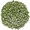 Natural Green Coffee Beans arabica green coffee beans