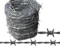 GI galvanized iron 20 gauge barbed wire