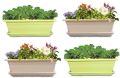 Designer Box Planter 19.3&amp;quot;X8.1&amp;quot; with Bottom Tray in Green and Beige Color (Set of Four)