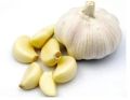 fresh garlic