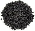 Organic black rice seeds