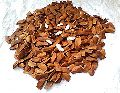 mahogany seeds