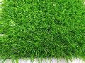 Dark Green Polypropylene Artificial Grass Mats artificial grass mat