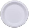 7 Inch Compostable Plain Plates