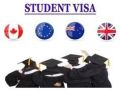 Study Visa Services