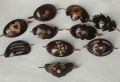 Brown Coconut Shell Hair Clips