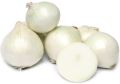 Fresh White Onion