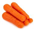 Organic Red Fresh Carrot
