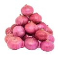 Organic Pink Red Round fresh onion