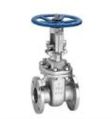 Stainless Steel Grey Polished gate valve