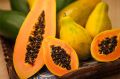 Organic Orange fresh papaya