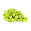 fresh green grapes