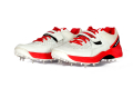 Reach Spikes Cricket Shoes
